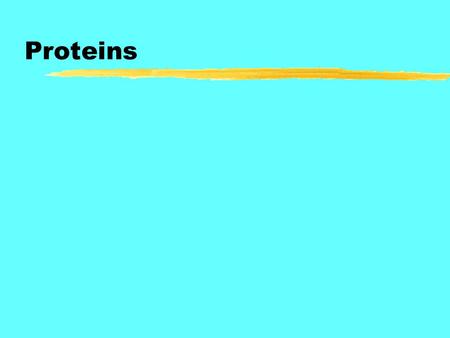 Proteins. The central role of proteins in the chemistry of life Proteins have a variety of functions. Structural proteins make up the physical structure.
