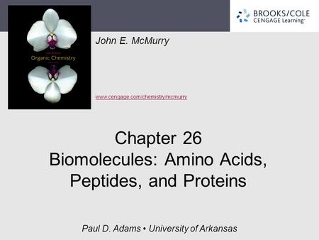 John E. McMurry www.cengage.com/chemistry/mcmurry Paul D. Adams University of Arkansas Chapter 26 Biomolecules: Amino Acids, Peptides, and Proteins.