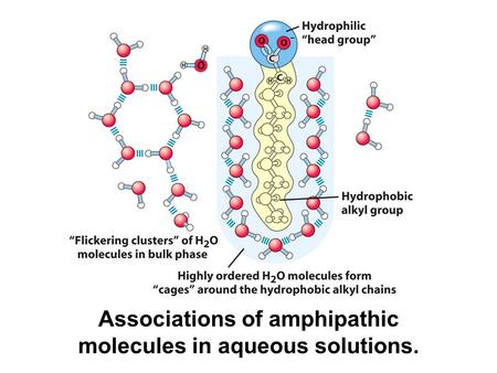 Associations of amphipathic molecules in aqueous solutions.