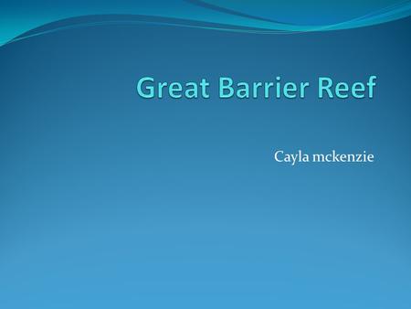 Great Barrier Reef Cayla mckenzie.