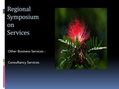Regional Symposium on Services Other Business Services : Consultancy Services.