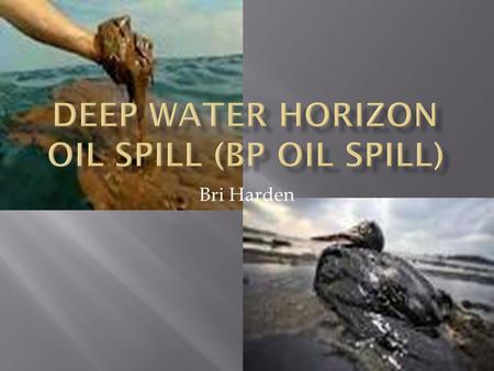 Bri Harden.  Its located in the Gulf of Mexico near Mississippi River Delta  Spill date: 20 April – 15 July 2010 Well officially sealed: 19 September.