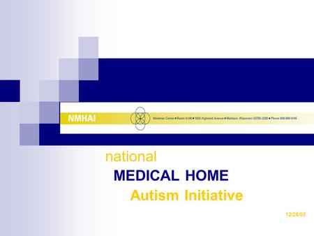 National MEDICAL HOME Autism Initiative 12/28/05.