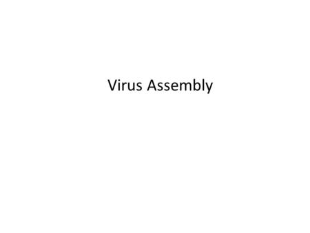 Virus Assembly.