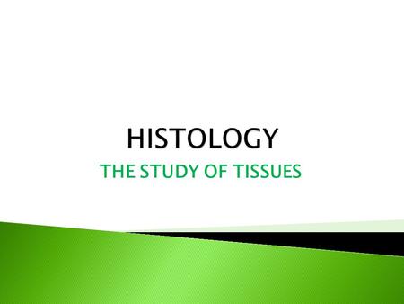 HISTOLOGY THE STUDY OF TISSUES.