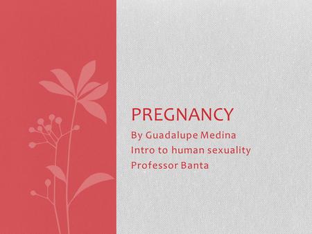 By Guadalupe Medina Intro to human sexuality Professor Banta PREGNANCY.