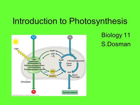 Introduction to Photosynthesis Biology 11 S.Dosman.