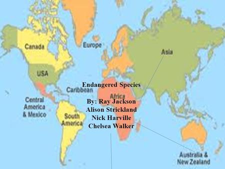 Endangered Species Around the World Endangered Species By: Ray Jackson Alison Strickland Nick Harville Chelsea Walker.
