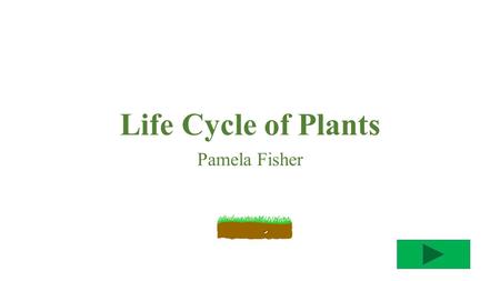 Life Cycle of Plants Pamela Fisher Instructions: I need you to read the question carefully and then pick the answer that fits best. Go on to the next.
