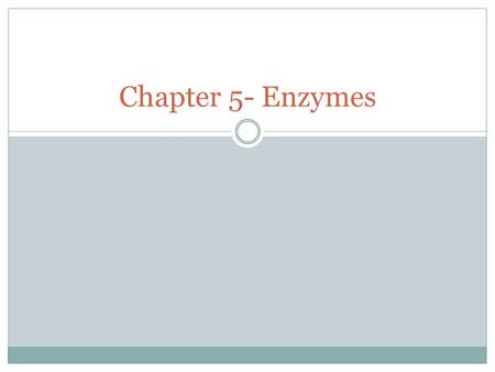 Chapter 5- Enzymes.