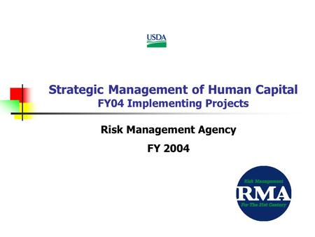 Strategic Management of Human Capital FY04 Implementing Projects Risk Management Agency FY 2004.