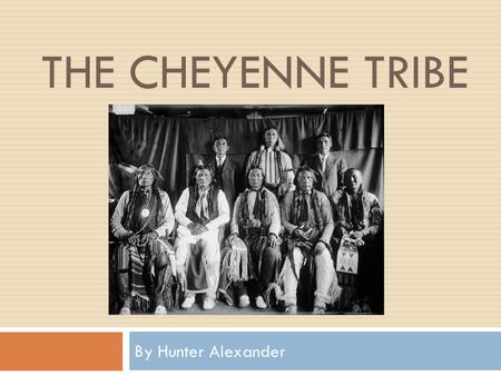THE CHEYENNE TRIBE By Hunter Alexander. The Cheyenne Tribe  The Cheyenne were a very skilled hunting tribe. They used bow and arrows and horses. They.
