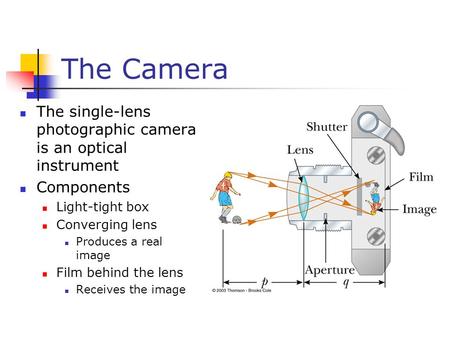 The Camera The single-lens photographic camera is an optical instrument Components Light-tight box Converging lens Produces a real image Film behind the.