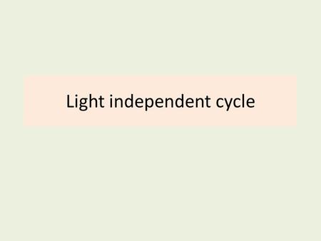 Light independent cycle. Learning outcome Be able to explain how carbon dioxide is accepted by ribulose biphosphate (RuBP) to form two molecules of glycerate.