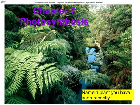 CO 7 Chapter 7 Photosynthesis Name a plant you have seen recently.