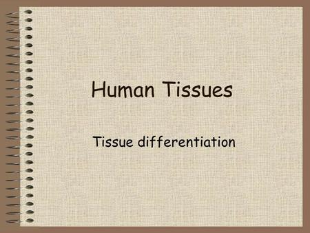 Tissue differentiation