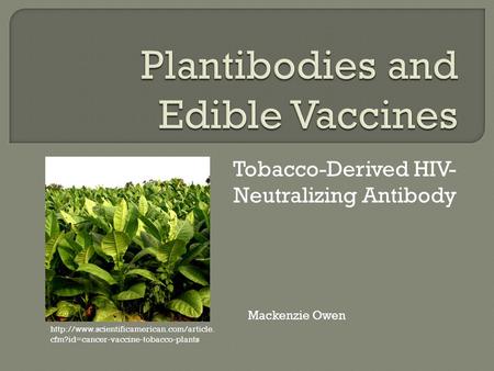 Tobacco-Derived HIV- Neutralizing Antibody  cfm?id=cancer-vaccine-tobacco-plants Mackenzie Owen.