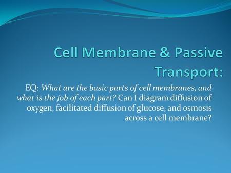 Cell Membrane & Passive Transport: