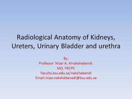 Radiological Anatomy of Kidneys, Ureters, Urinary Bladder and urethra