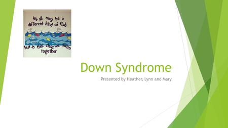Down Syndrome Presented by Heather, Lynn and Mary.