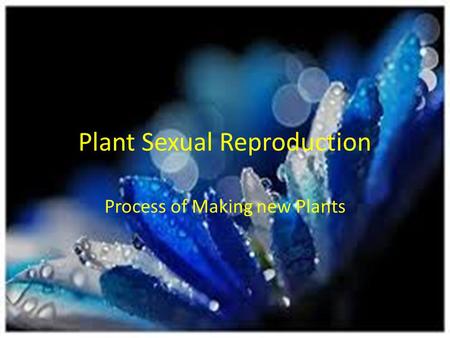 Plant Sexual Reproduction