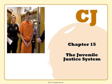 CJ © 2011 Cengage Learning Chapter 15 The Juvenile Justice System.