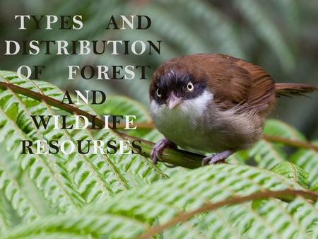 TYPES AND DISTRIBUTION OF FOREST AND WILDLIFE RESOURSES.