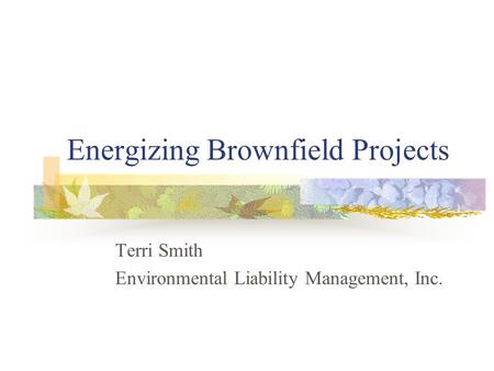 Energizing Brownfield Projects Terri Smith Environmental Liability Management, Inc.