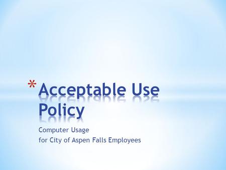 Computer Usage for City of Aspen Falls Employees.