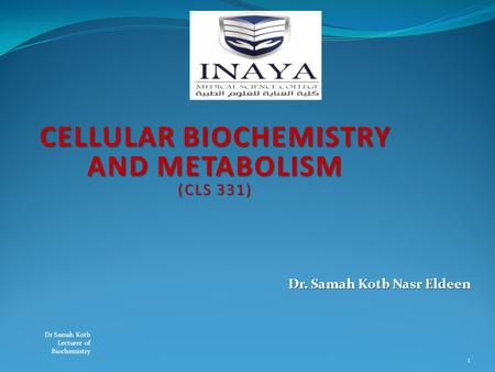 CELLULAR BIOCHEMISTRY AND METABOLISM (CLS 331) Dr. Samah Kotb Nasr Eldeen Dr. Samah Kotb Nasr Eldeen 1 Dr Samah Kotb Lecturer of Biochemistry.