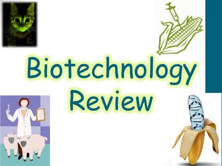 Biotechnology Review.