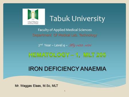 Tabuk University Faculty of Applied Medical Sciences Department Of Medical Lab. Technology 2 nd Year – Level 4 – AY 1433-1434 1 Mr. Waggas Elaas, M.Sc,