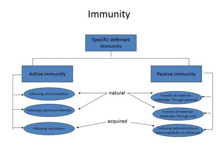 Immunity Specific defenses Immunity Passive immunityActive immunity Following clinical infection Following subclinical infection Following vaccination.