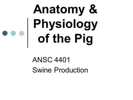 Anatomy & Physiology of the Pig ANSC 4401 Swine Production.
