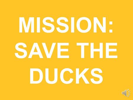 MISSION: SAVE THE DUCKS Amy Whittaker Senior Associate Consultant, Advisory Services San Francisco Andrew Olsen Web Manager San Francisco Meg VanWagner.