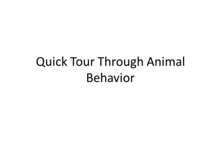 Quick Tour Through Animal Behavior. Like I said in class (sorry juniors – you were taking the ACT) Behavioral ecology is my true love when it comes to.