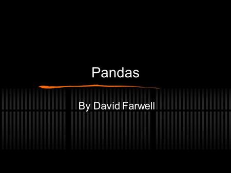 Pandas By David Farwell Over the last month I have been researching the panda bear! I have been searching for their physical description, habitat, defense,