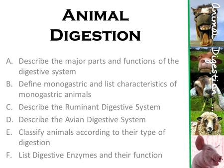 Animal Digestion Describe the major parts and functions of the digestive system Define monogastric and list characteristics of monogastric animals Describe.