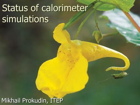 Status of calorimeter simulations Mikhail Prokudin, ITEP.