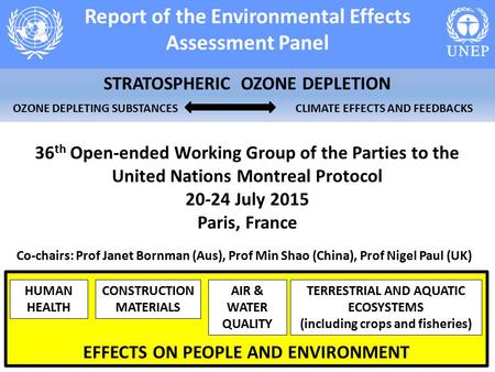 Report of the Environmental Effects