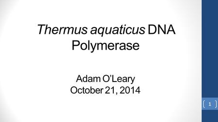 Thermus aquaticus DNA Polymerase Adam O’Leary October 21, 2014