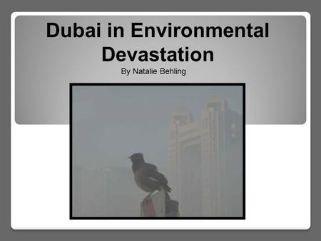 Dubai in Environmental Devastation