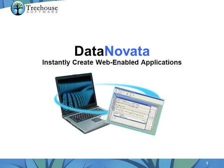 1 DataNovata Instantly Create Web-Enabled Applications.