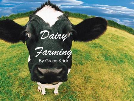 Dairy Farming By Grace Krick. Dairy Farming Dairy farming was very important in the late 1800s. Dairy farms produced food like cheese and milk. Dairy.