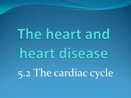 5.2 The cardiac cycle. Learning outcomes Students should understand the following: Myogenic stimulation of the heart and transmission of a subsequent.