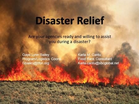 Disaster Relief Are your agencies ready and willing to assist you during a disaster? Gaye Lynn Bailey Program/Logistics Coord. Karla M.