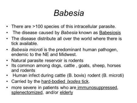 Babesia There are >100 species of this intracellular parasite. The disease caused by Babesia known as Babesiosis The disease distribute all over the world.