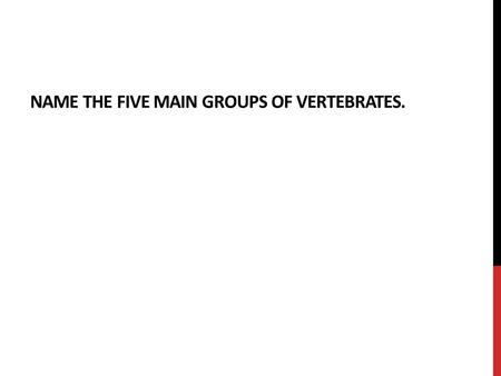 Name the five main groups of vertebrates.