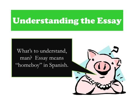 What does essay mean in spanish?