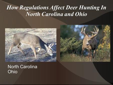 How Regulations Affect Deer Hunting In North Carolina and Ohio North Carolina Ohio ​